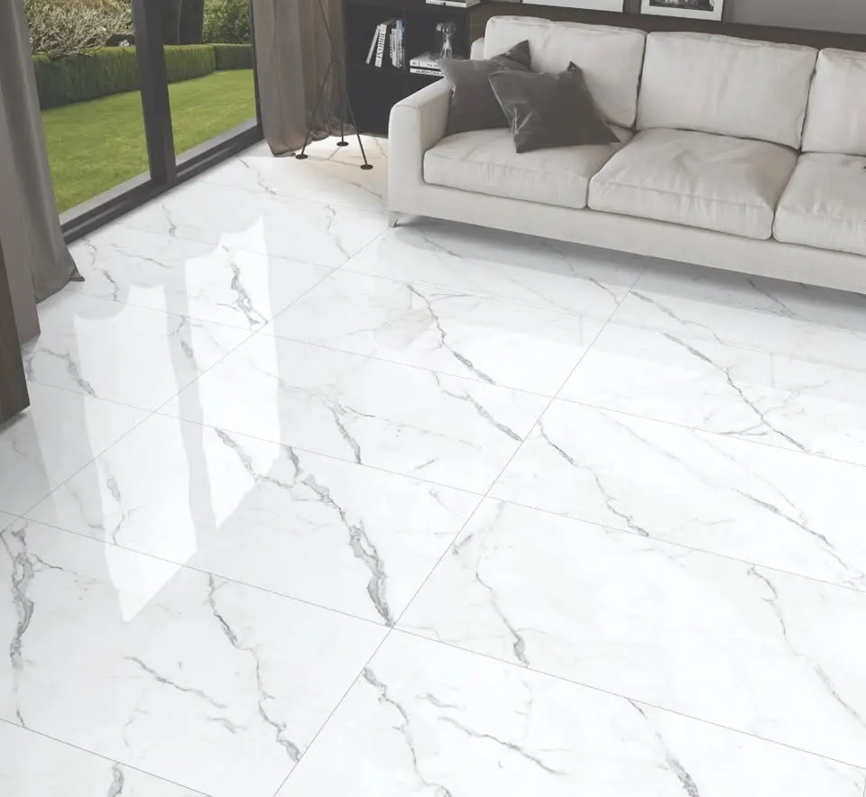 Elite Tiles GL Light Polished 24 x 48, photo 3